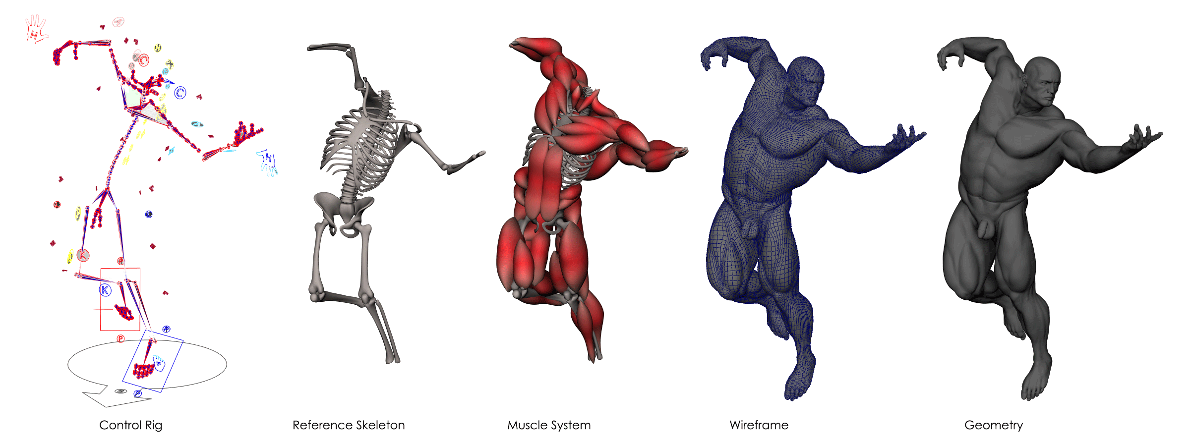 Experiened 3D Modeler, Digital Sculptor, Rigger, Texture Arist